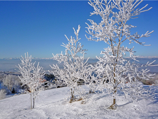 Galaverna sull''Appennino ligure piemontese